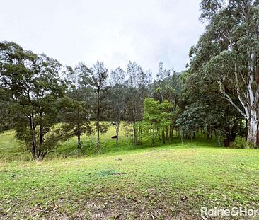 1656 Maitland Vane Road, Lambs Valley, NSW 2335 - Photo 1