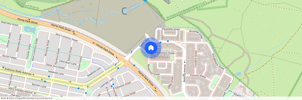 13 Pademelon Street, Throsby ACT 2914