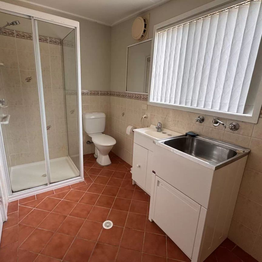 Catch of the Day - Photo 1