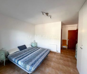 Olivella - Photo 1
