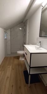 Location Appartement 1 pièce 23m² - Photo 3