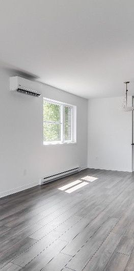 Juillet Gratuit ! Apparemment 2 Cc - Photo 1