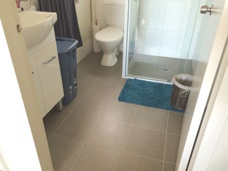 Central / South - Photo 3