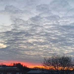 Rönnholmsgränd, Skärholmen - Photo 3