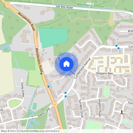 Montgomerie Drive, Guildford, GU2