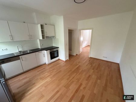 Schöne 2,5-Zimmer Wohnung zu vermieten - Foto 2