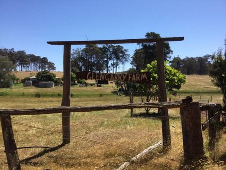 COTTAGE IN THE COUNTRY - Photo 4