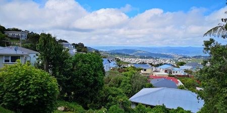 Bright, Fully Furnished 1-Bed Flat in Mornington - Photo 4