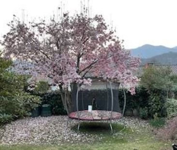 6945, Origlio - Foto 3