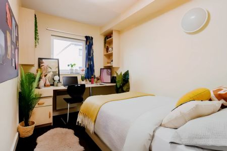 Basic Ensuite - Photo 2