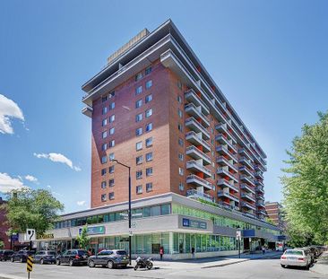Studio - 1570 St-Timothée, Montréal - Photo 2