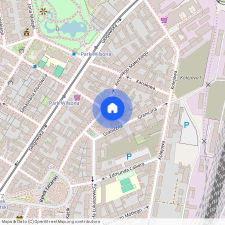 ul. Józefa Strusia, Łazarz, Grunwald, Poznań, wielkopolskie