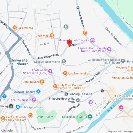 Fribourg / 3.5 pièces entièrement rénové - Foto 2