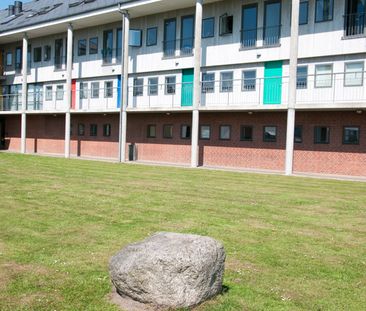 Skolevænget, 6200, Aabenraa - Photo 3
