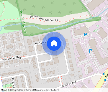 2 CH - 1 SDB - Laval - $1,950 /mo - Photo 1