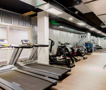 Large Classic Studio - Photo 5