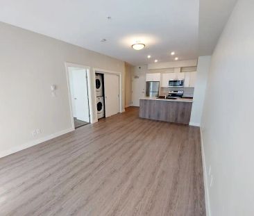 Le Sequoia on Watkiss — 1 Bedroom - Photo 4