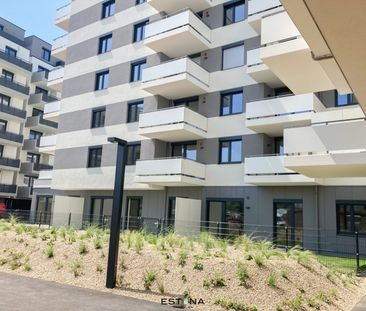 Terrassenwohnung mit Top-Lage direkt am Kirschblütenpark | Ideal fü... - Foto 5