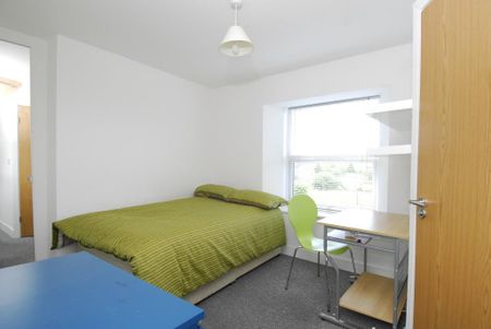 2 bedroom house share to rent - Photo 4