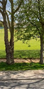 Room in a Shared House, Barnes, SW13 - Photo 4