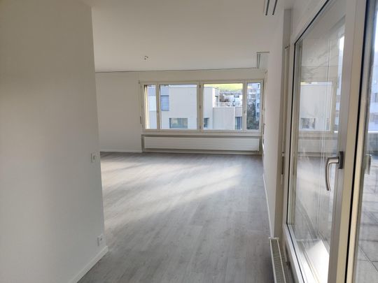 Grosse 4.5 Zimmer - Attikawohnung mit zwei Terrassen - Photo 1
