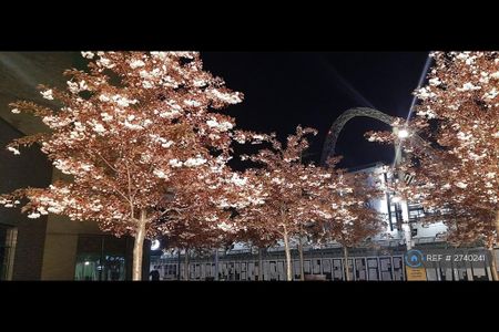 1 bedroom flat to rent - Photo 5