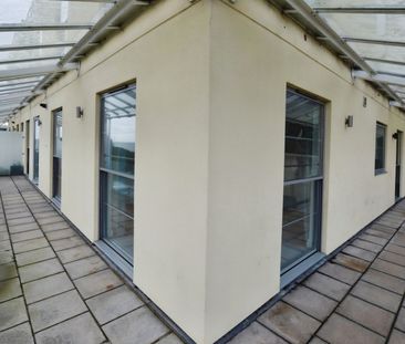 Water Meadows, Cockington Lane, Torquay, Devon, TQ2 - Photo 4