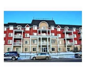 Bright One Bedroom Condo in South West Edmonton | 311 - 226 MacEwan... - Photo 1