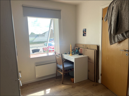 Pæn lejlighed i nydelige omgivelser - Photo 5