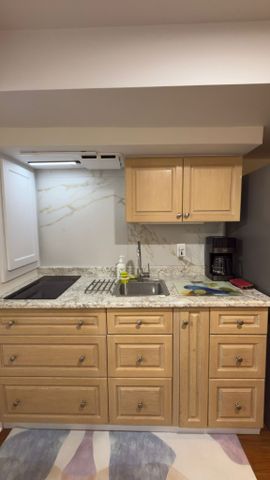 For Lease - 15 Springhead Gardens Unit# Basement, Richmond Hill, Ontario - Photo 5