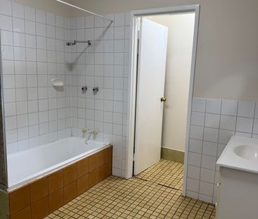 Huge Yard - Secure Fencing - Photo 4