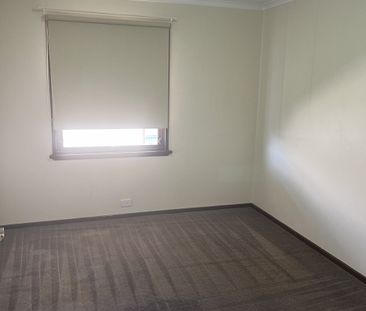 Don't Miss This 3x1 Well Located With A Large Backyard. - Photo 4