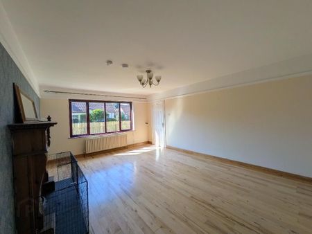 57 Glen River Park, Glenavy, BT29 4FX - Photo 3