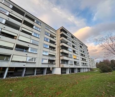 Living in Pratteln - Photo 1