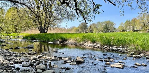 4 ½ à Louer, Très Belle Vue! - Photo 2