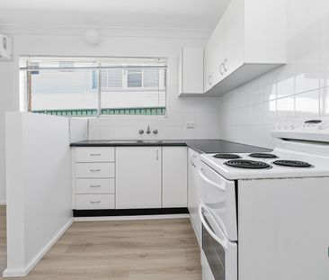 2/209 George Street, East Maitland NSW 2323 - House For Rent | Domain - Photo 4