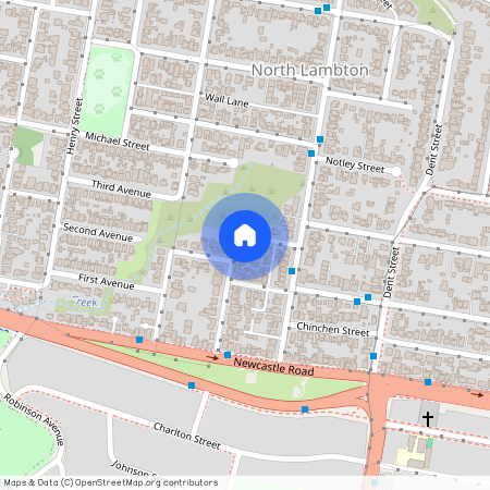 36 Albert St, North Lambton NSW 2299