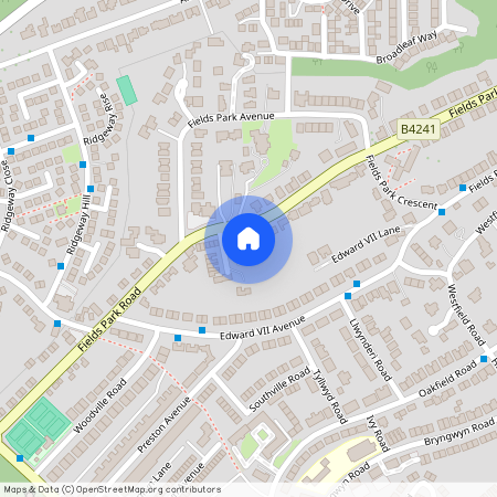 59 Fields Park Road, Newport, NP20 5BA, Newport