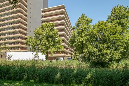 Arthur van Schendelplein 175, Voorhof-Hoogbouw, 2624CX, Delft - Foto 2