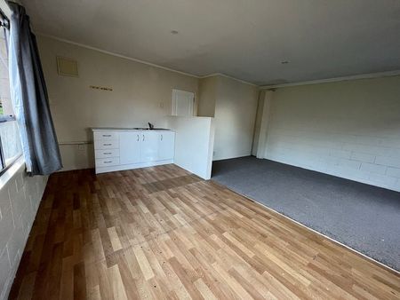 one bedroom studio unit - Photo 4