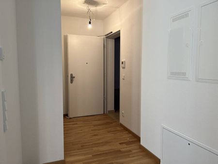 Neues City Wohnen im grünen Garten - Ingelheimer Gärten - Foto 4