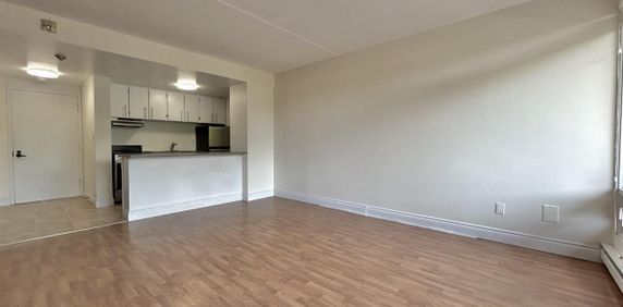 Chemin Sainte-Foy Appartement Loft Studio à Louer Montcalm / Saint-Sacrement Juillet 2027 - Photo 2