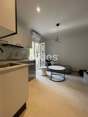 Studio/Γκαρσονιέρα για ενοικίαση Βούλγαρη - Άγιος Ελευθέριος - Ντεπώ (Βούλγαρη - Ντεπώ - Μαρτίου) - Φωτογραφία 1