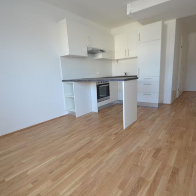 Annenviertel/Zentrum – 40 m² inkl. Loggia – 2 Zimmer-Wohnung – nach Vereinbarung ( noch bewohnt ) - Photo 1