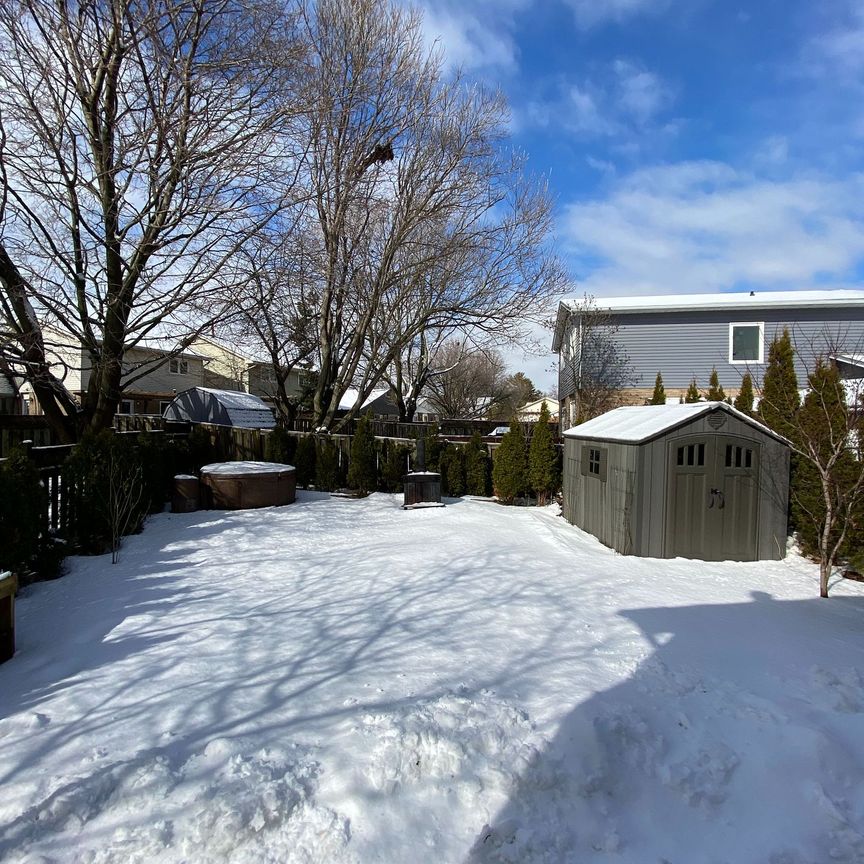 Detached Home For Lease | W8117306 - Photo 1