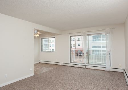 Diplomat Manor - Photo 2