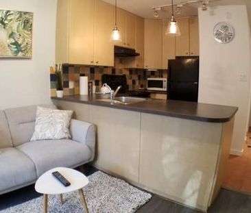 Cozy Furnished 1 Bedroom Apartment in Downtown/Yaletown - Photo 1