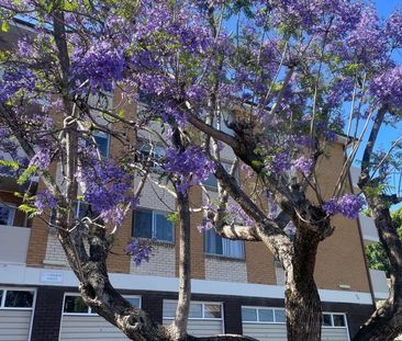Gladesville - Photo 5