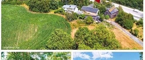 3 Seiten Hof sucht Handwerker zur Miete - Foto 1