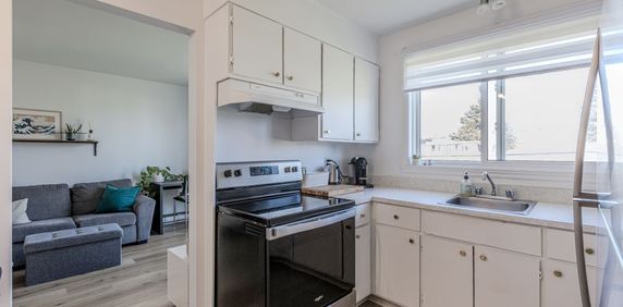 Le M Appartements Appartement 3 ½ à Louer Lévis Juillet 2025 - Photo 2